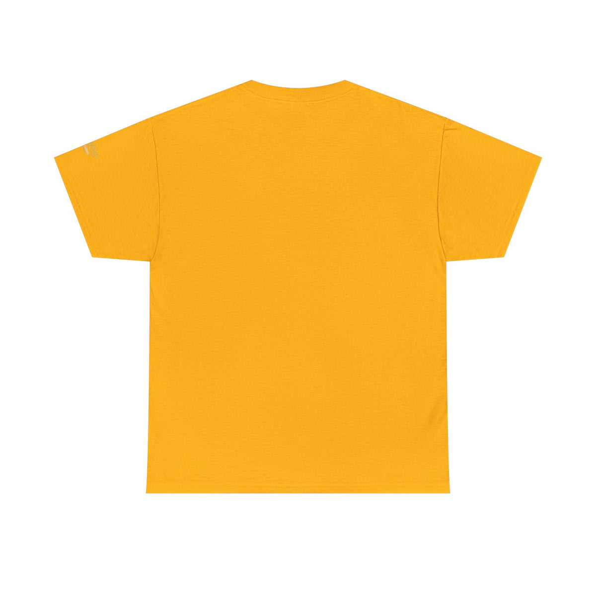 Cheugy vs Not Cheugy Graphic Tee